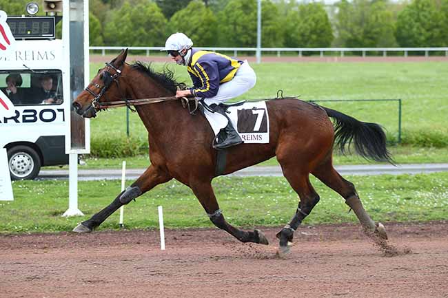 Photo d'arrivée de la course pmu PRIX DU CHAMPAGNE DE CASTELNAU à REIMS le Mercredi 17 avril 2024