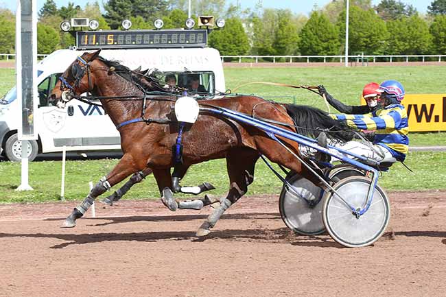 Photo d'arrivée de la course pmu PRIX DE LA VILLE DE REIMS à REIMS le Mercredi 17 avril 2024