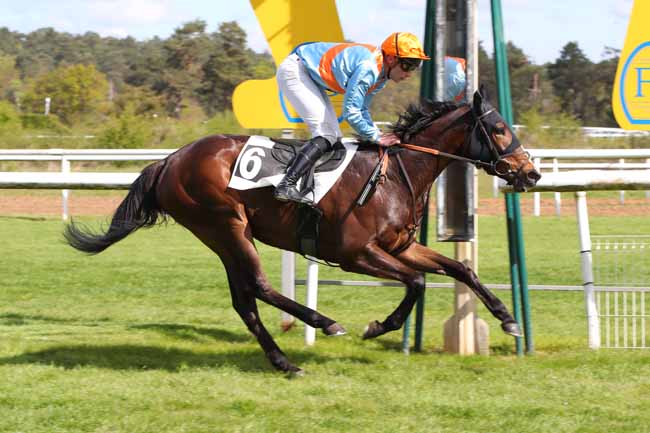 Photo d'arrivée de la course pmu PRIX DE LA TOUR DENECOURT à FONTAINEBLEAU le Mercredi 17 avril 2024