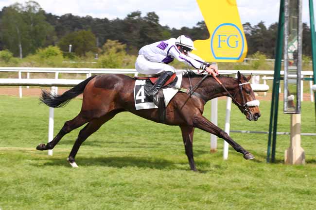 Photo d'arrivée de la course pmu PRIX DU BOIS ROND à FONTAINEBLEAU le Mercredi 17 avril 2024