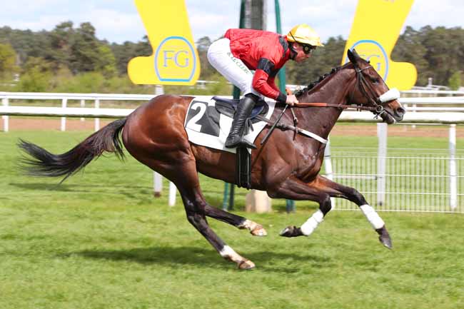 Photo d'arrivée de la course pmu PRIX DE LA MARE A PIAT à FONTAINEBLEAU le Mercredi 17 avril 2024