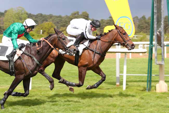 Photo d'arrivée de la course pmu PRIX DE LA SOCIETE DES COURSES DE MOULINS à FONTAINEBLEAU le Mercredi 17 avril 2024