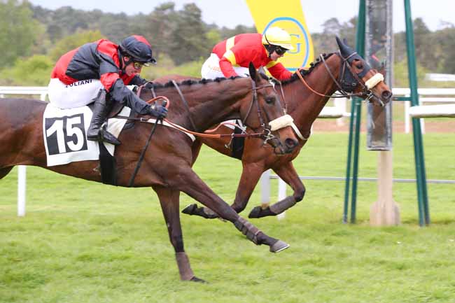 Photo d'arrivée de la course pmu PRIX CABARET MASSON à FONTAINEBLEAU le Mercredi 17 avril 2024