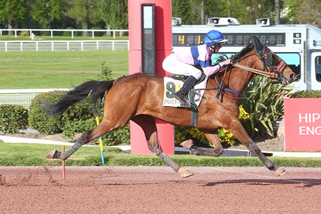 Photo d'arrivée de la course pmu PRIX DE L'ELYSEE à ENGHIEN le Jeudi 18 avril 2024