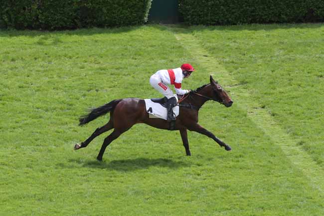 Photo d'arrivée de la course pmu PRIX THE COYOTE à AUTEUIL le Dimanche 21 avril 2024