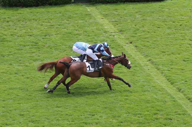 Photo d'arrivée de la course pmu PRIX ANDRE BOINGNERES à AUTEUIL le Dimanche 21 avril 2024
