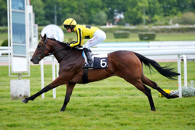 Photo d'arrivée de la course pmu PRIX DU «PARI TOURNY» BISTROT & PARIS HIPPIQUES A BORDEAUX (PRIX DU MEDOC) à BORDEAUX-LE BOUSCAT le Lundi 22 avril 2024