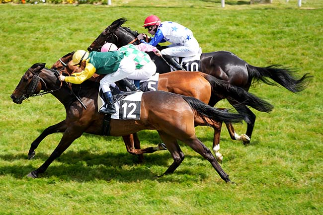 Photo d'arrivée de la course pmu HANDICAP DE BORDEAUX à BORDEAUX-LE BOUSCAT le Lundi 22 avril 2024
