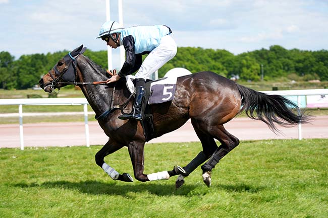 Photo d'arrivée de la course pmu PRIX ALGAN à BORDEAUX-LE BOUSCAT le Lundi 22 avril 2024