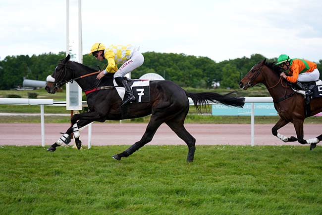 Photo d'arrivée de la course pmu PRIX DE PAREMPUYRE à BORDEAUX-LE BOUSCAT le Lundi 22 avril 2024