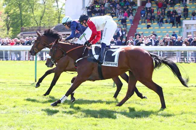 Photo d'arrivée de la course pmu PRIX DU BREVENT à COMPIEGNE le Mardi 23 avril 2024