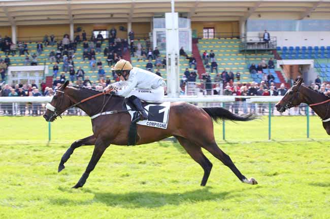 Photo d'arrivée de la course pmu PRIX DU MONT-DORE à COMPIEGNE le Mardi 23 avril 2024