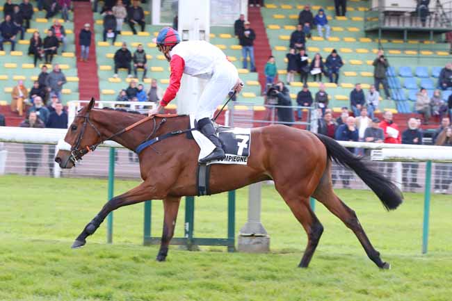 Photo d'arrivée de la course pmu PRIX HOPPER à COMPIEGNE le Mardi 23 avril 2024