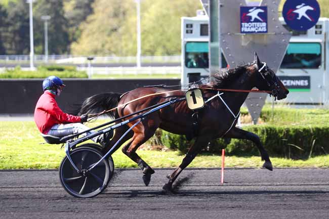 Photo d'arrivée de la course pmu PRIX PHAEO à PARIS-VINCENNES le Mardi 23 avril 2024