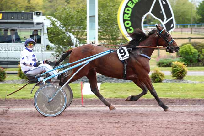 Photo d'arrivée de la course pmu PRIX PLANETE EQUIPEMENT à CORDEMAIS le Mercredi 24 avril 2024