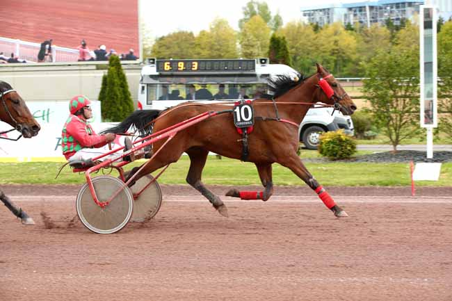 Photo d'arrivée de la course pmu GRAND NATIONAL DES AMATEURS - PRIX RCA LA RADIO à CORDEMAIS le Mercredi 24 avril 2024