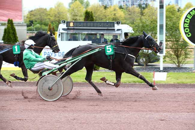 Photo d'arrivée de la course pmu PRIX CAMPING PARC SAINTE BRIGITTE - LA TURBALLE à CORDEMAIS le Mercredi 24 avril 2024