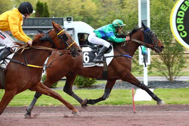 Photo d'arrivée de la course pmu PRIX DE LA VILLE DE CORDEMAIS à CORDEMAIS le Mercredi 24 avril 2024
