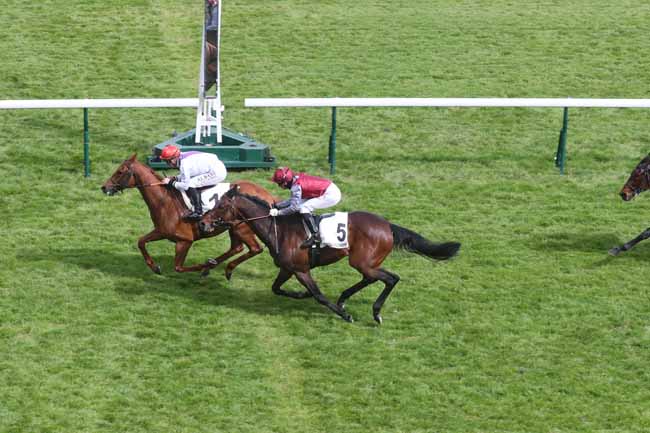 Photo d'arrivée de la course pmu PRIX DE L'ATHENEE à LONGCHAMP le Jeudi 25 avril 2024