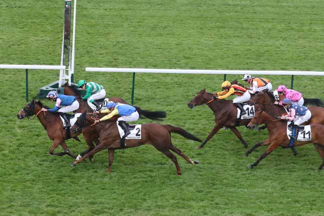 Photo d'arrivée de la course pmu PRIX DU PAVILLON DES ANGLAIS à LONGCHAMP le Jeudi 25 avril 2024