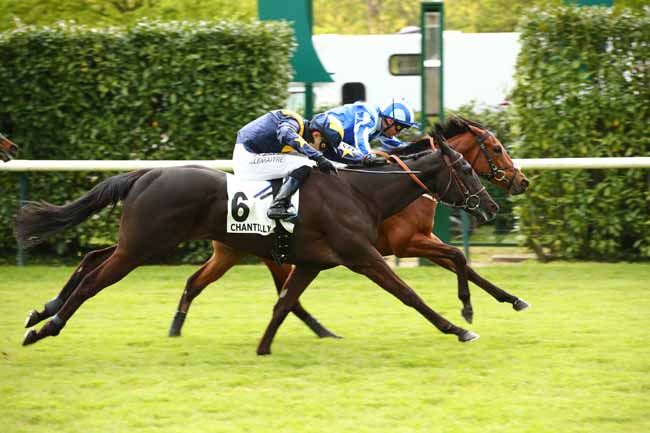Photo d'arrivée de la course pmu PRIX DU MONT DE PO à CHANTILLY le Vendredi 26 avril 2024