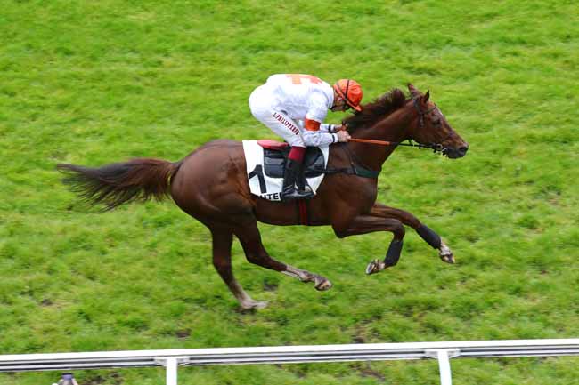Photo d'arrivée de la course pmu PRIX GO AHEAD à AUTEUIL le Samedi 27 avril 2024