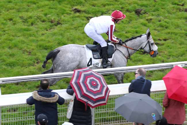 Photo d'arrivée de la course pmu PRIX ROGER DUCHENE - GRAND PRIX DES JEUNES JOCKEYS à AUTEUIL le Samedi 27 avril 2024