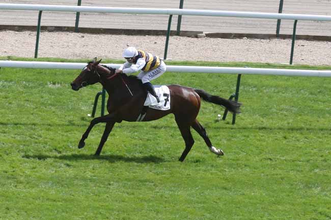 Photo d'arrivée de la course pmu PRIX DE BARBEVILLE à LONGCHAMP le Dimanche 28 avril 2024