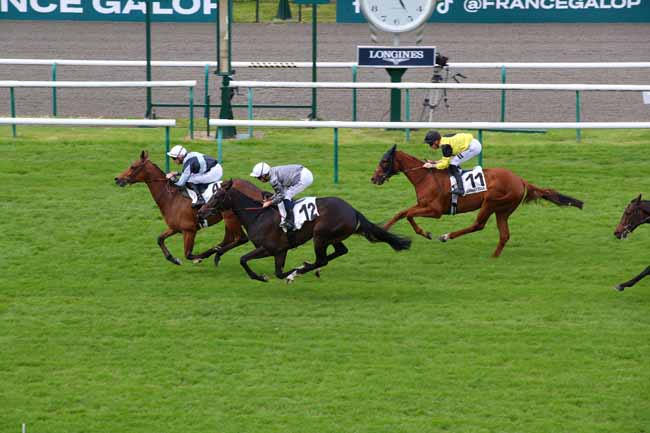 Photo d'arrivée de la course pmu PRIX DE MANSE à CHANTILLY le Lundi 29 avril 2024