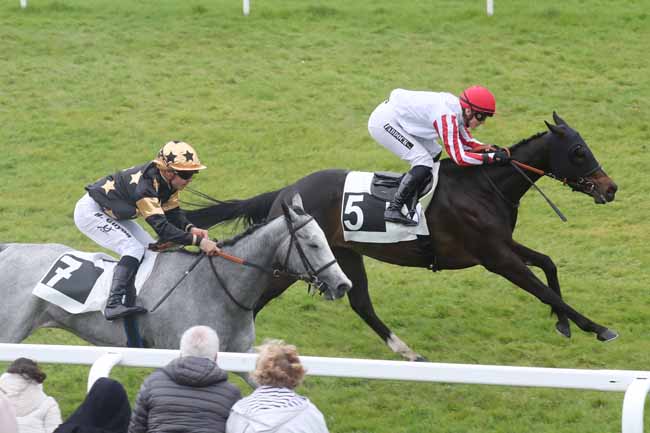 Photo d'arrivée de la course pmu PRIX DE LA SEM DU PAYS DE FONTAINEBLEAU (PRIX DE LA CROIX DE VITRY) à FONTAINEBLEAU le Mardi 30 avril 2024
