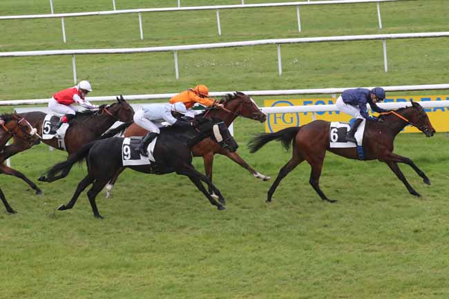 Photo d'arrivée de la course pmu PRIX DES CEDRES à FONTAINEBLEAU le Mardi 30 avril 2024