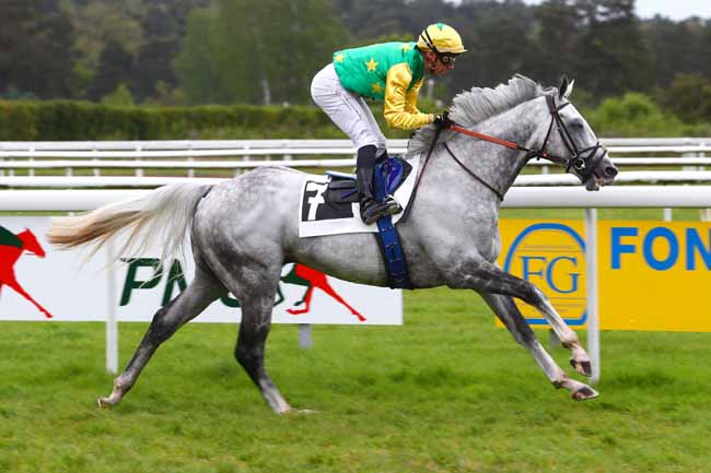 Photo d'arrivée de la course pmu PRIX DES PETITES FONTAINES à FONTAINEBLEAU le Mardi 30 avril 2024