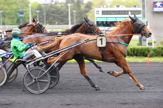 Photo d'arrivée de la course pmu PRIX HEVELIUS à PARIS-VINCENNES le Mardi 30 avril 2024
