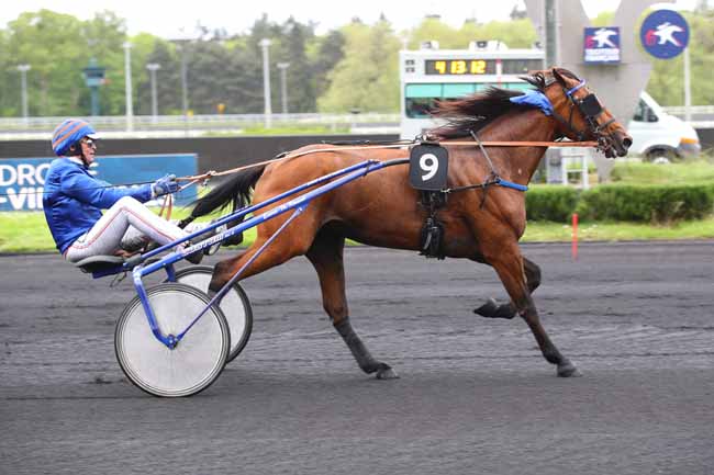 Photo d'arrivée de la course pmu PRIX VANADIS à PARIS-VINCENNES le Mardi 30 avril 2024