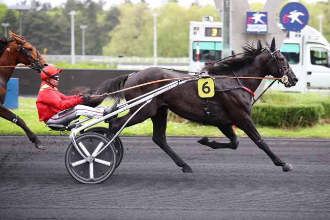 Photo d'arrivée de la course pmu PRIX LIBUSSA à PARIS-VINCENNES le Mardi 30 avril 2024