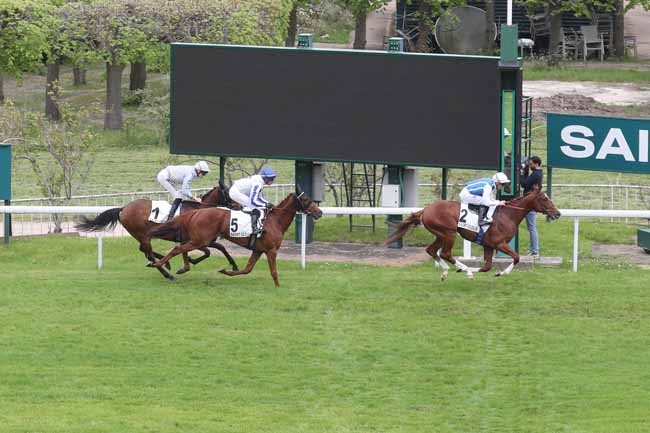 Photo d'arrivée de la course pmu PRIX ROYAL HAMPTON à SAINT CLOUD le Mercredi 1 mai 2024