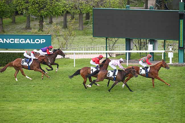 Photo d'arrivée de la course pmu PRIX DU HARAS DE LA CELLE-SAINT-CLOUD à SAINT CLOUD le Mercredi 1 mai 2024