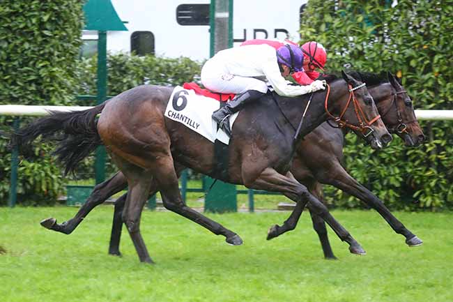 Photo d'arrivée de la course pmu PRIX DE LA FRANCILIENNE à CHANTILLY le Jeudi 2 mai 2024