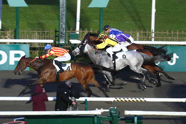 Photo d'arrivée de la course pmu PRIX DE LA FONTAINE ROCAILLE à CHANTILLY le Jeudi 2 mai 2024