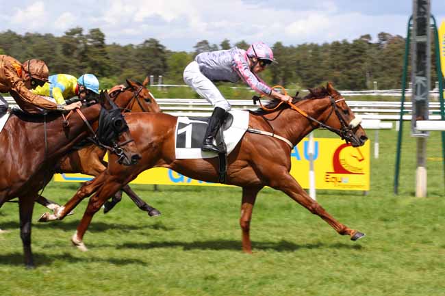 Photo d'arrivée de la course pmu PRIX DES NOYERS à FONTAINEBLEAU le Vendredi 3 mai 2024