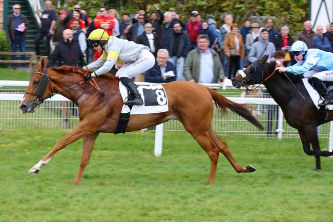 Photo d'arrivée de la course pmu PRIX DES NOISETIERS à FONTAINEBLEAU le Vendredi 3 mai 2024