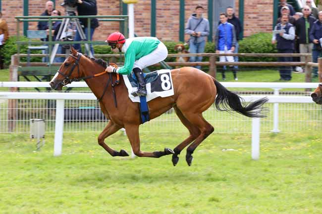 Photo d'arrivée de la course pmu PRIX DES FOUGERES à FONTAINEBLEAU le Vendredi 3 mai 2024