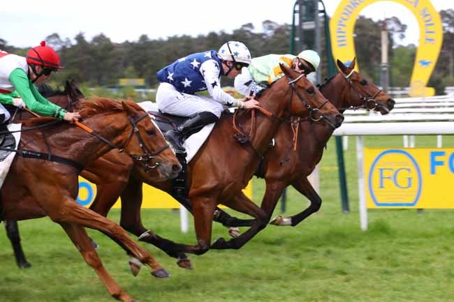 Photo d'arrivée de la course pmu PRIX DES CHENES à FONTAINEBLEAU le Vendredi 3 mai 2024