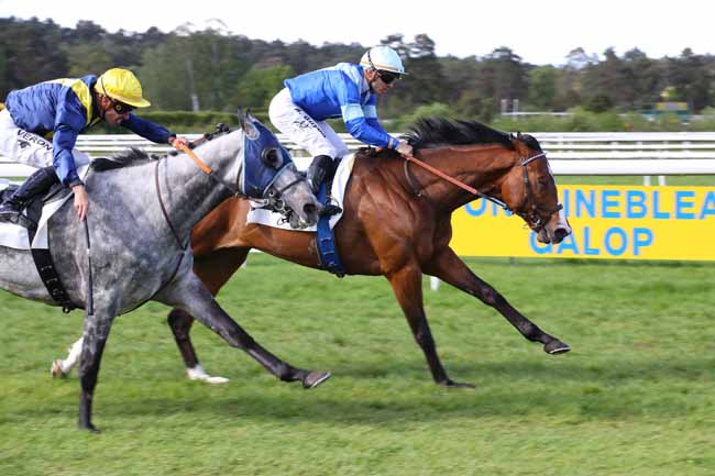 Photo d'arrivée de la course pmu PRIX DE LA PINEDE à FONTAINEBLEAU le Vendredi 3 mai 2024