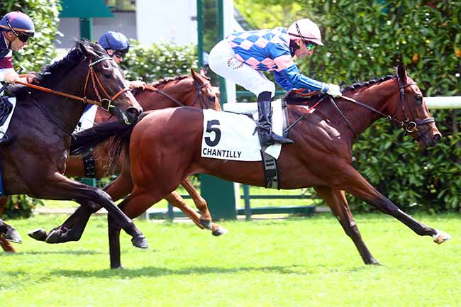 Photo d'arrivée de la course pmu PRIX DU COQ CHANTANT à CHANTILLY le Mardi 7 mai 2024