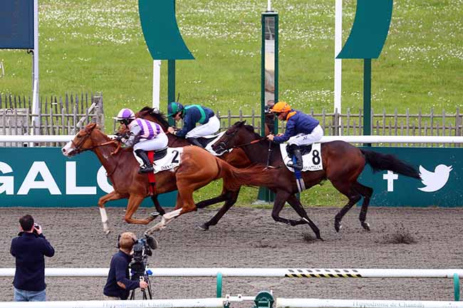 Photo d'arrivée de la course pmu PRIX DE LA FOSSE AUX CERFS à CHANTILLY le Mardi 7 mai 2024