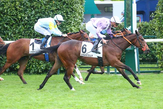 Photo d'arrivée de la course pmu PRIX DE LA MERE MARIE à CHANTILLY le Mardi 7 mai 2024