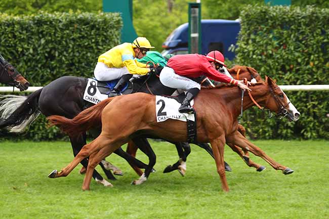Photo d'arrivée de la course pmu PRIX DES CHATAIGNIERS à CHANTILLY le Mardi 7 mai 2024