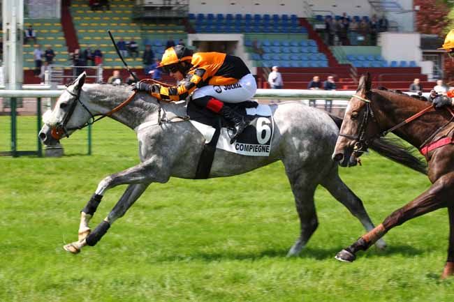 Photo d'arrivée de la course pmu PRIX NIVOLET à COMPIEGNE le Mardi 7 mai 2024