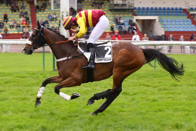 Photo d'arrivée de la course pmu PRIX TERI AC à COMPIEGNE le Mardi 7 mai 2024